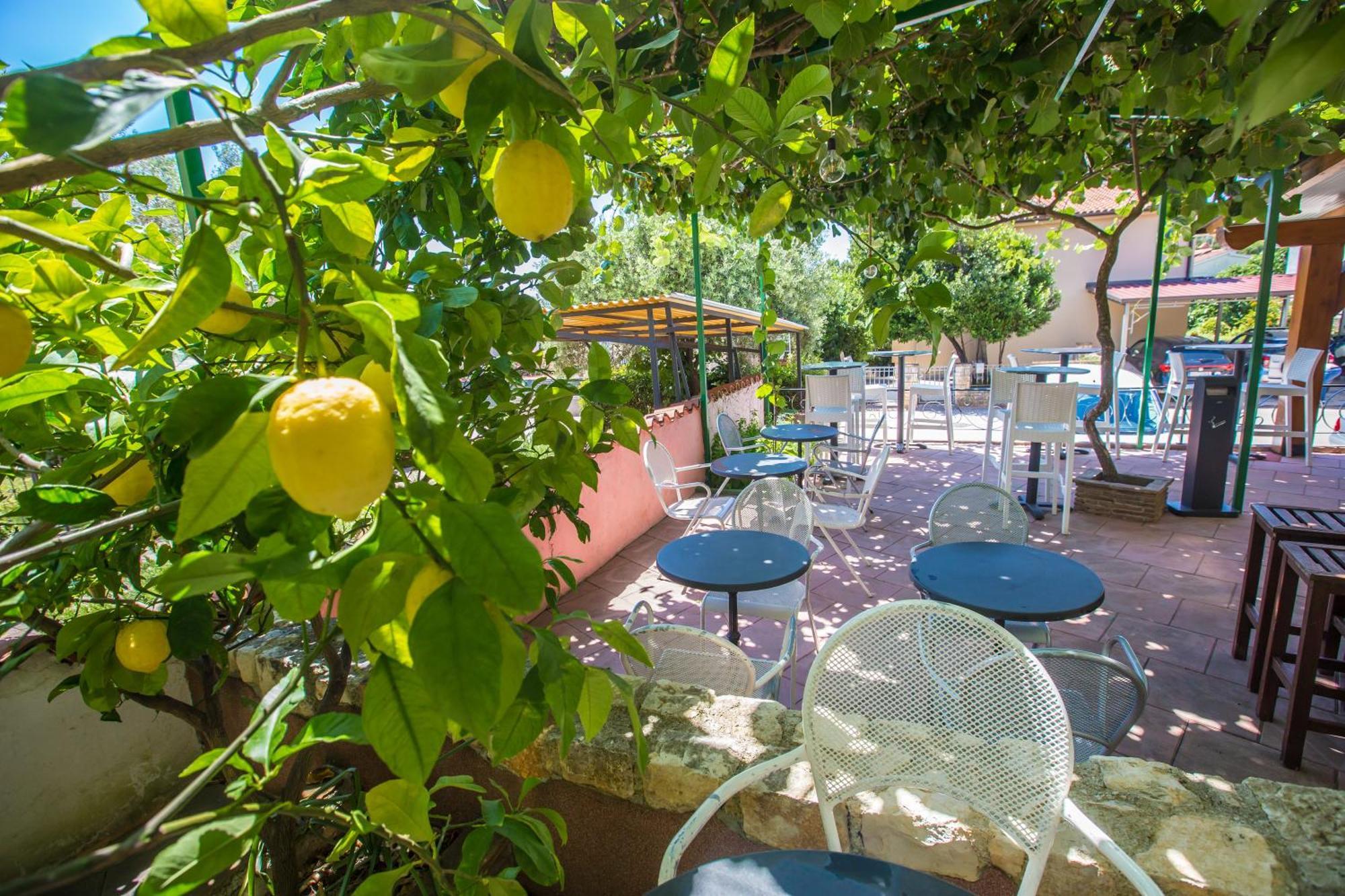 Villa Monsena Rovinj Dış mekan fotoğraf